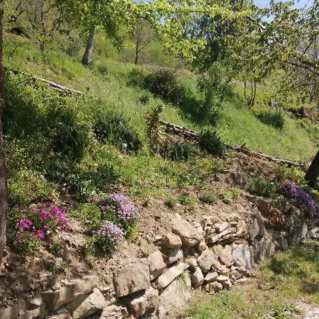 Vocabolo Pantaneto San Giustino